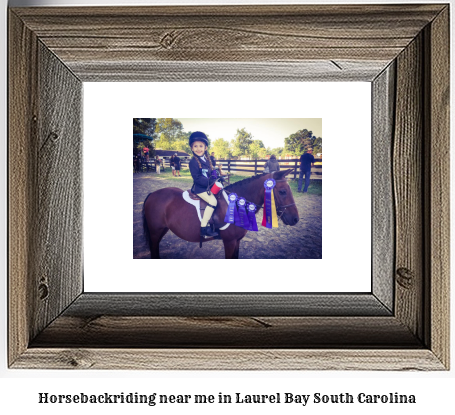 horseback riding near me in Laurel Bay, South Carolina